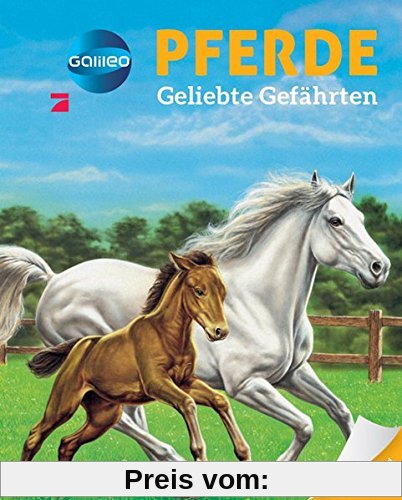 Galileo Wissen: Pferde: Geliebte Gefährten